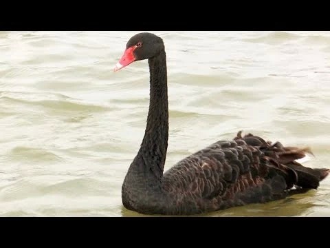 Банный пруд прихорашивают
