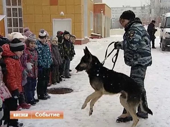 Ребятам о зверятах