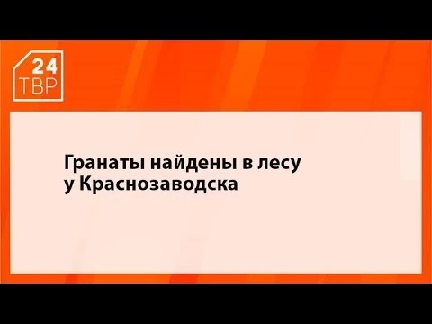 Гранаты найдены в лесу у Краснозаводска