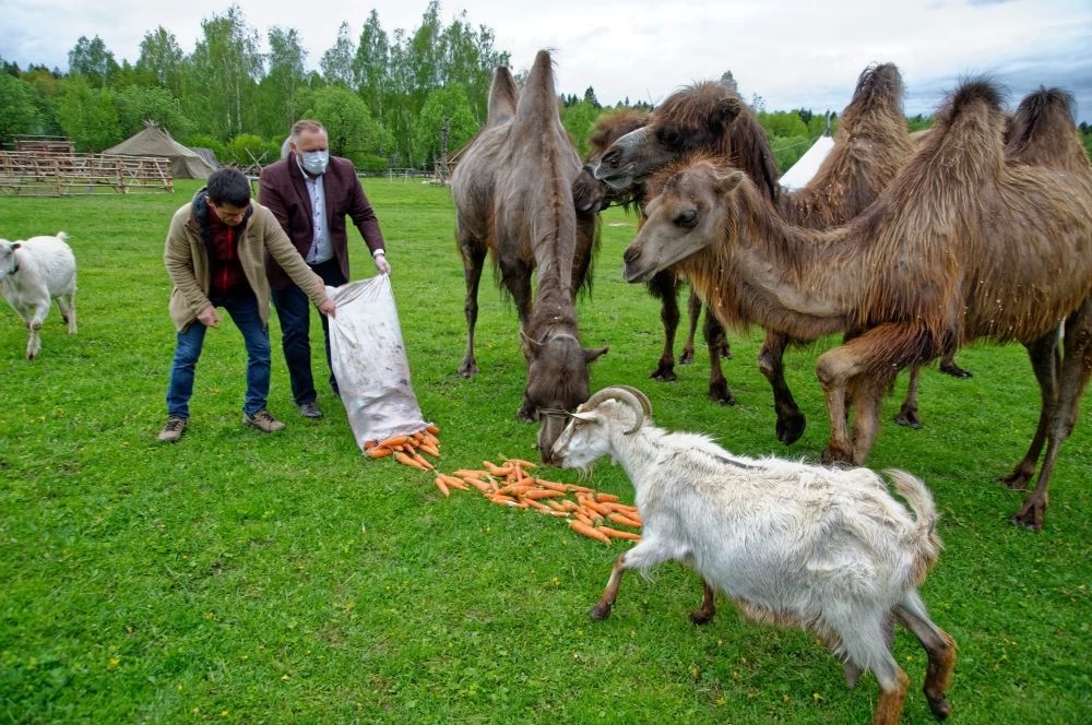 «Единая Россия» помогла «Кочевнику»