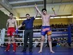 Бои под звуки музыки