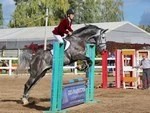 Конкур — преодоление препятствий