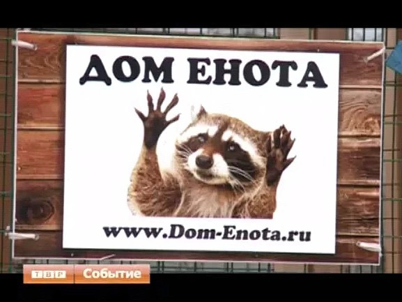 "Дом енота" в Хотькове по-прежнему ждёт гостей