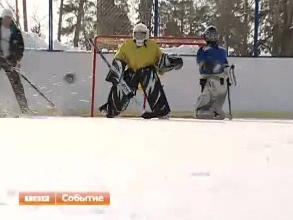 Мастер-класс по хоккею состоялся в Хотьково