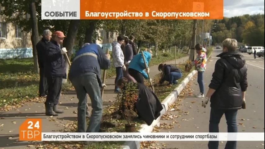 160 корней декоративного кустарника  высажены вдоль пешеходных тротуаров и проезжей части в центре посёлка Скоропусковский