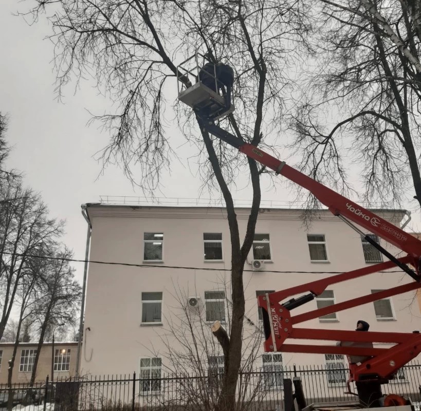 По просьбам граждан во дворах ведутся работы по опиловке деревьев