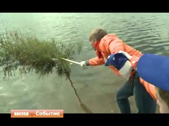 Экологическая акция «Оберегай»