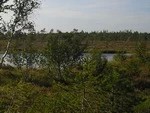 Под Торгашино утонул рыбак