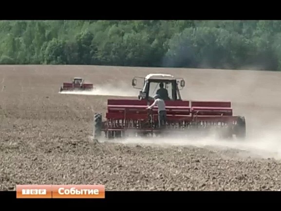Посевная