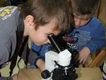 Увидели ДНК своими глазами