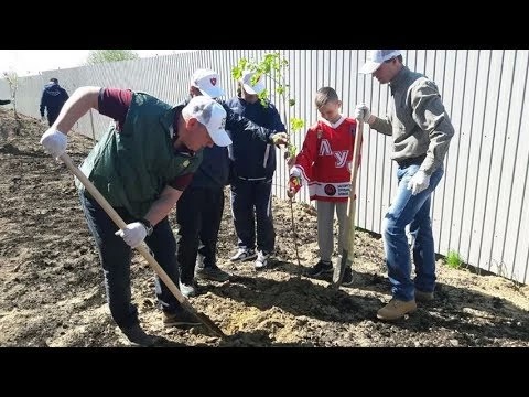 «Лес Победы»: в Сергиевом Посаде добавилось клёнов, лип, яблонь