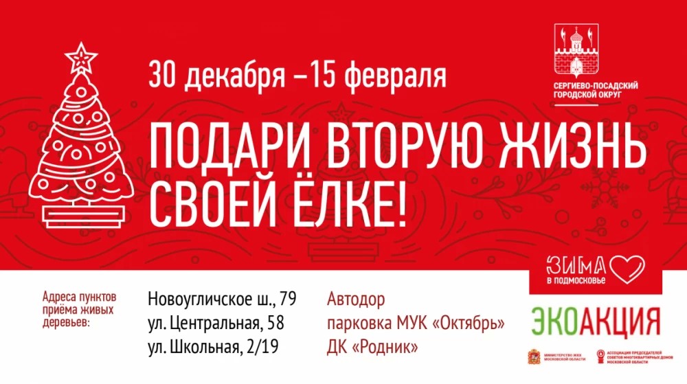 Экологическая акция «Подари вторую жизнь своей ёлке» пройдёт в Сергиево-Посадском округе