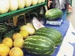 Где легально продают арбузы