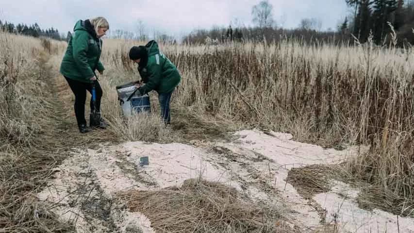 Сергиев Посад в лидерах по ликвидации незаконных свалок