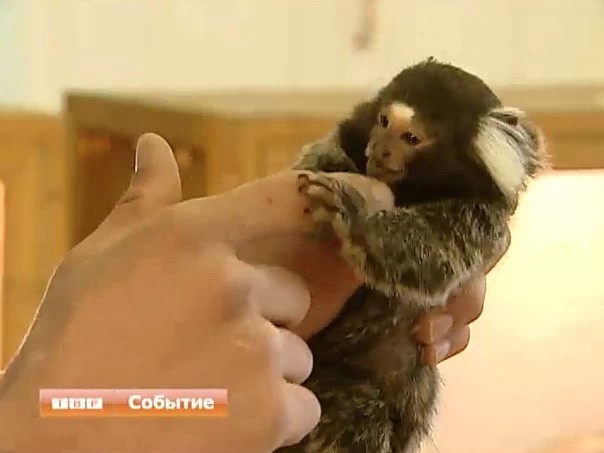Коммерческие новости
