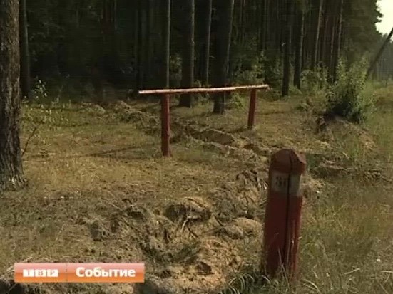 В Подмосковье миновала опасность лесных пожаров