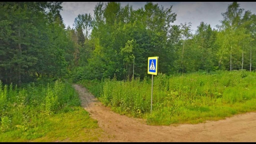 Сергиево-Посадский округ принимает участие в ежегодной Всероссийской акции «Сохраним лес»