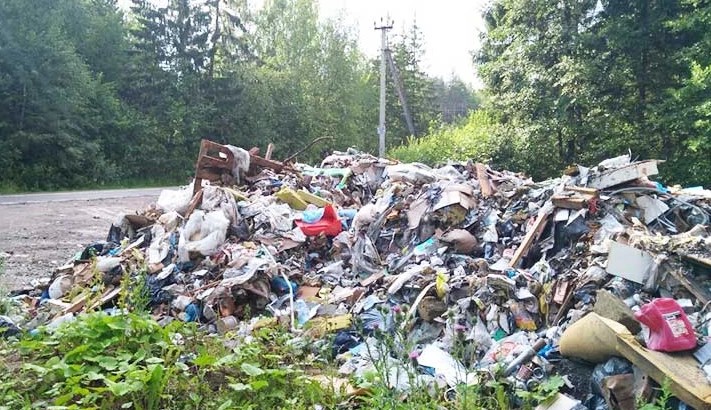 Точки несанкционированного сброса мусора выявлены в муниципалитете