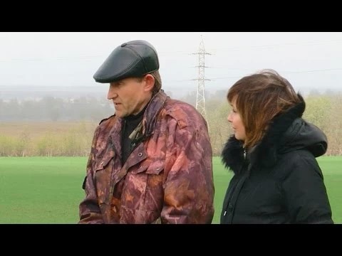 Кузьминский жаворонок возвестил о хорошей погоде