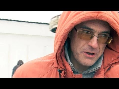 Искусственная или живая ёлка?