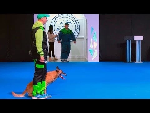Евразия-2018