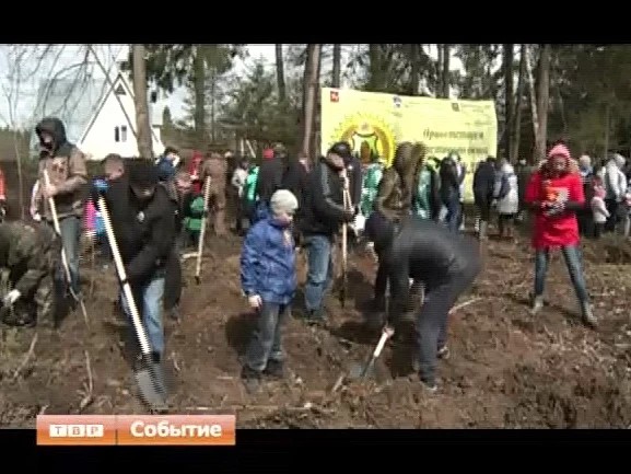 К концу года в Подмосковье определят лучшие сады Подмосковья
