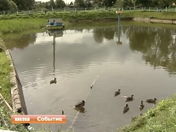 Марьинский пруд стал чище