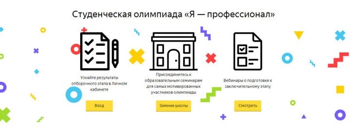 «Я – профессионал»
