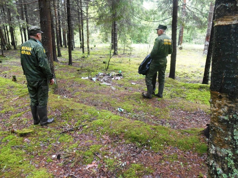 Лесные патрули вынуждены ликвидировать несанкционированные свалки