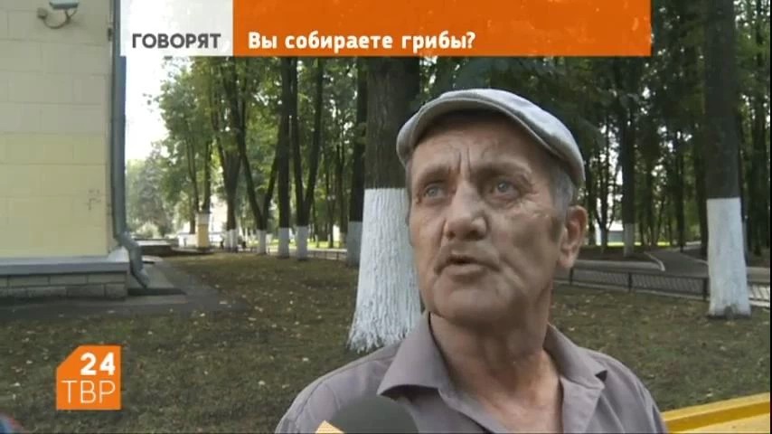 Вы собираете грибы? Вам это нравится?