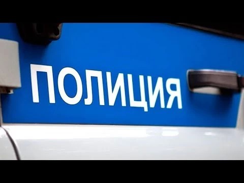 Полиция начала проверку по факту избиения девушки в Реммаше