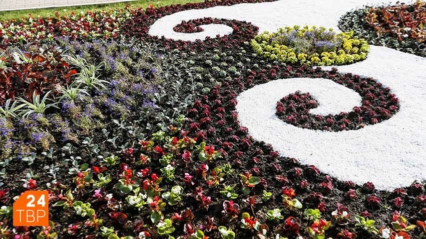 В Сергиевом Посаде под зиму высадят почти 270 тысяч тюльпанов
