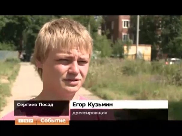 В Пересвете накануне из цирка-шапито пропал морской котик. Его хозяин обращается с просьбой помочь отыскать животное