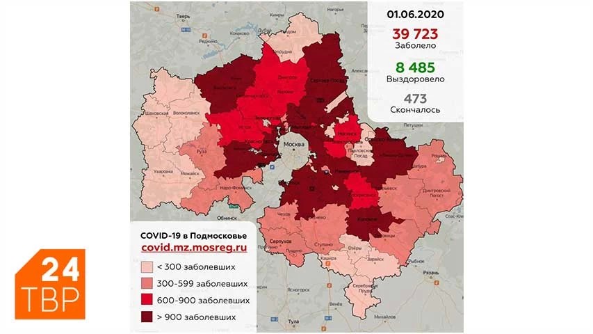 Сводка по COVID-19 в Подмосковье на 1 июня