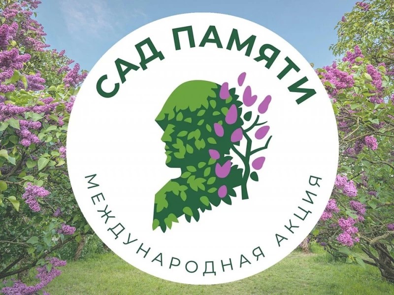 Акция "Сад памяти" заменит "Лес Победы"