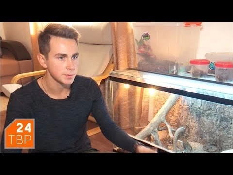 Варан Артёма Ульянова, любит, когда ему чешут за ухом