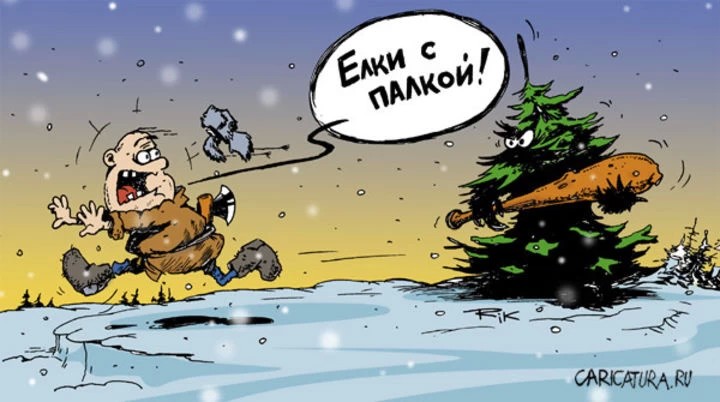 Ёлка и палка нашли своих обладателей