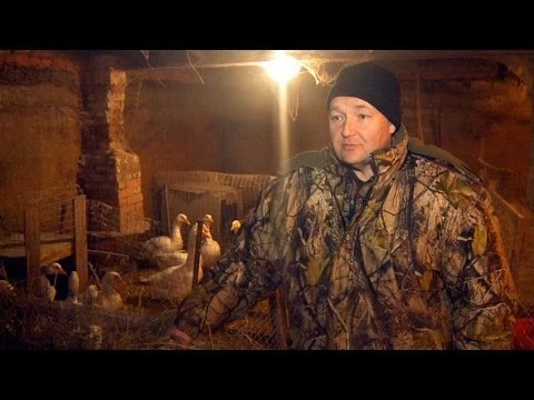 Тушёнка фермеров Никитиных