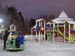 Парк вырос за три месяца