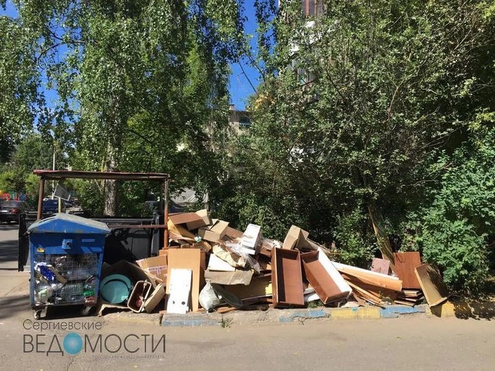 Почему в Сергиевом Посаде горят леса и мусорные площадки?