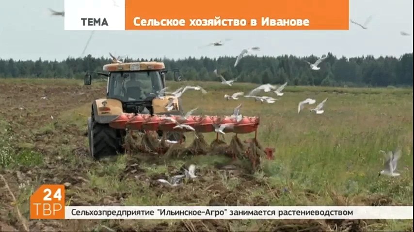 Районные специалисты знакомятся с опытом передового сельского хозяйства в Иванове