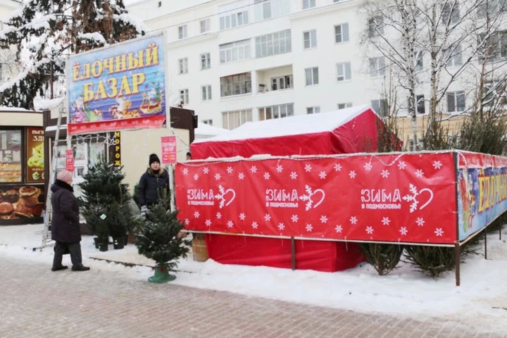 Ах, у ели 600 рублей метр! В Сергиевом Посаде открылись елочные базары