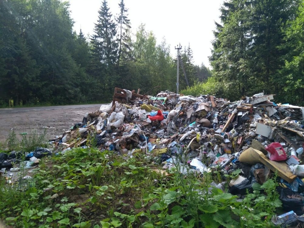 Штрафы за незаконный сброс мусора в неположенных местах вырастут
