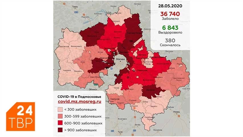 Сводка по COVID-19 в Подмосковье на 28 мая