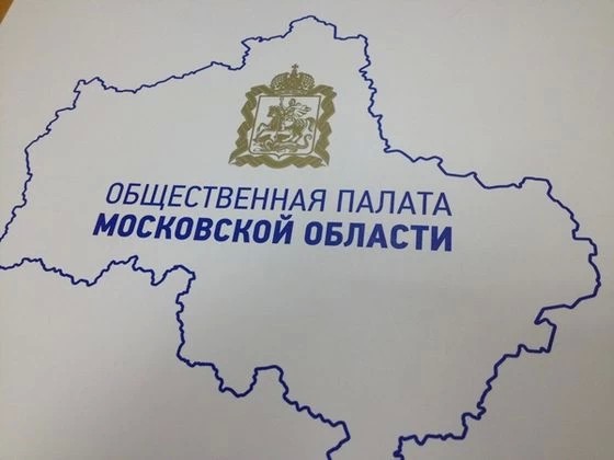 Голосование в муниципальные общественные палаты перенесено