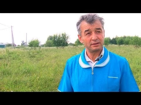 Фермер Мухаммедов: «Я коров выбирал по форме вымени»