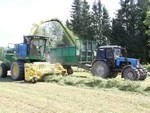 В "Васильевском" — европейский проект