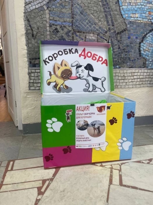 В библиотеке Горловского собирают корм для бездомных животных