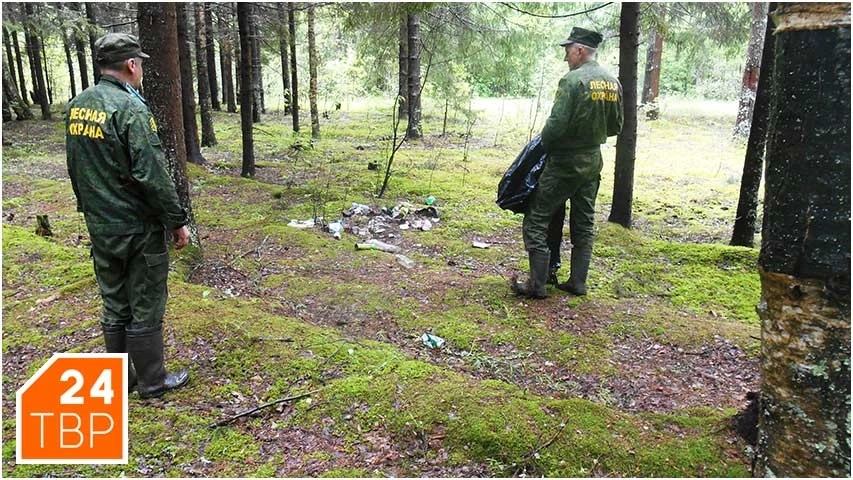 Лесные патрули вынуждены ликвидировать несанкционированные свалки