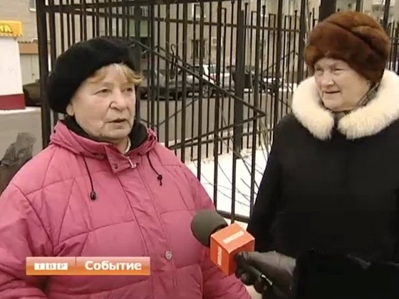 Что делать с бездомными животными? Сколько людей – столько и мнений